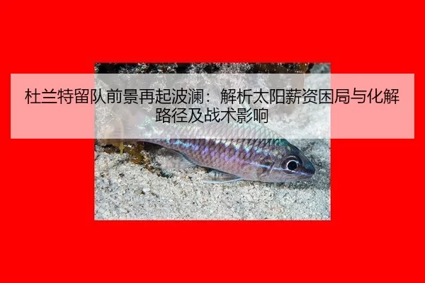 杜兰特留队前景再起波澜：解析太阳薪资困局与化解路径及战术影响