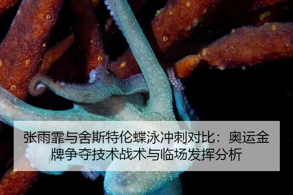 zhang-yu-fei-yu-she-si-te-lun-die-yong-chong-ci-dui-bi-ao-yun-jin-pai-zheng-duo-ji-shu-zhan-shu-yu-lin-chang-fa-hui-fen-2-531.jpg